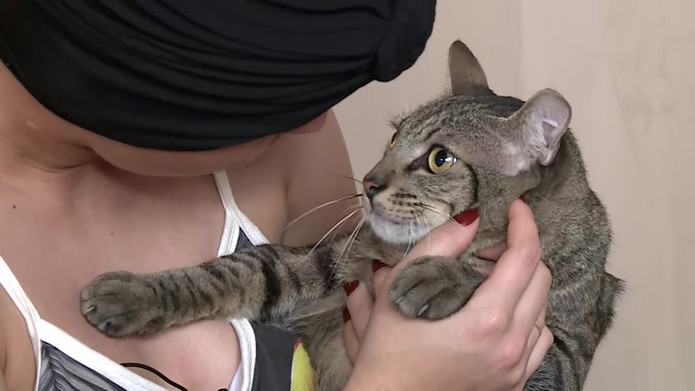 Débora reencontrou os gatos três meses após sofrer acidente no Recife — Foto: Reprodução/TV Globo