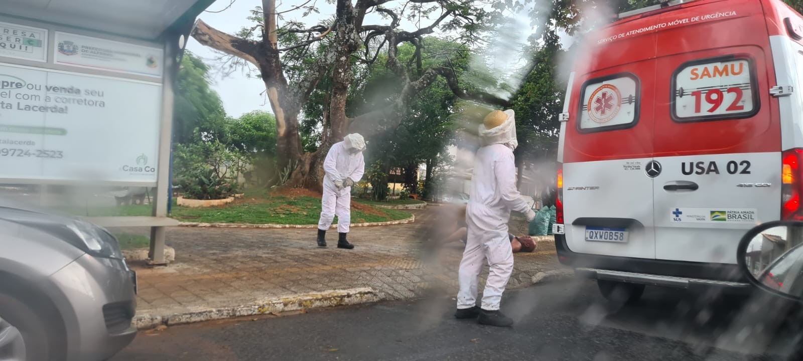 Moradores, bombeiros e motorista do Samu ficam feridos após ataque de abelhas em Alfenas, MG