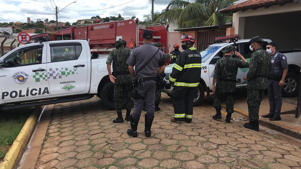 Bombeiros e policiais montaram um corredor de passagem por onde a onça-parda voltou à natureza — Foto: Carlos Volpi/TV Fronteira