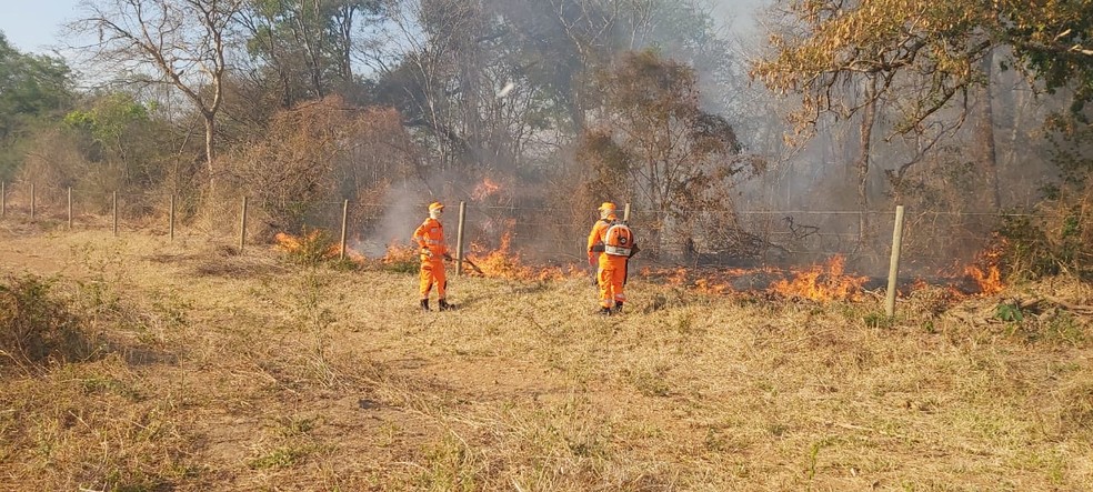 Chamas foram controladas pelos bombeiros de Januária — Foto: Corpo de Bombeiros/Divulgação