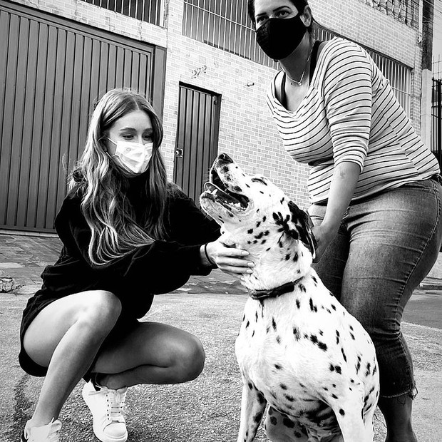 Marina Ruy Barbosa adota cachorro  (Foto: Divulgação)
