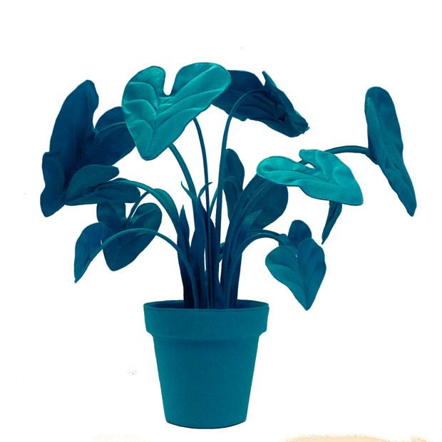 Plantas de feltro em cores ousadas são item de decoração inesperado (Foto: divulgação)