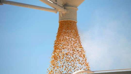 São Martinho começa a produzir etanol de milho em Goiás ainda neste mês
