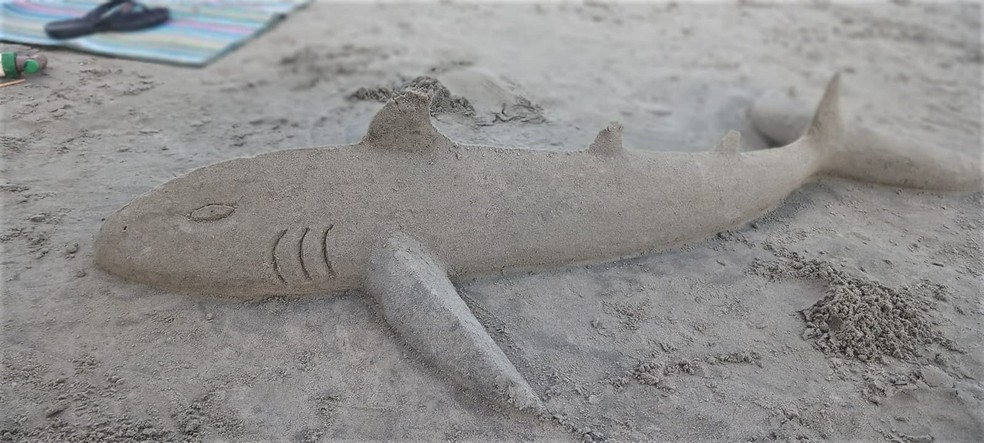 Morador de Peruíbe cria esculturas de areia na orla — Foto: Reprodução/Redes Sociais
