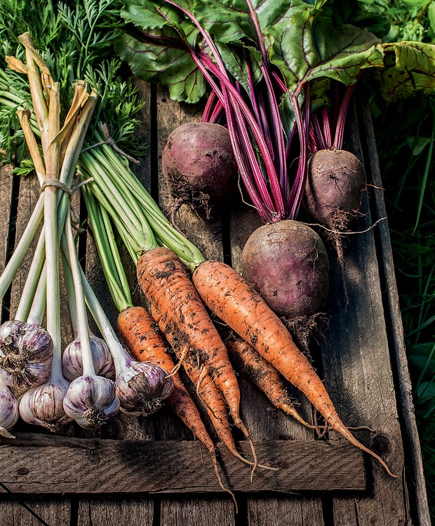 Healthy Organic Vegetables on a Wooden Background. Organic fresh harvested vegetables (Foto: Getty Images/iStockphoto)