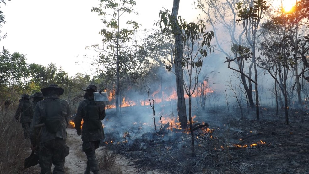 Ação humana pode ter dado início à queimada na APA Alter do Chão — Foto: Exército/Divulgação