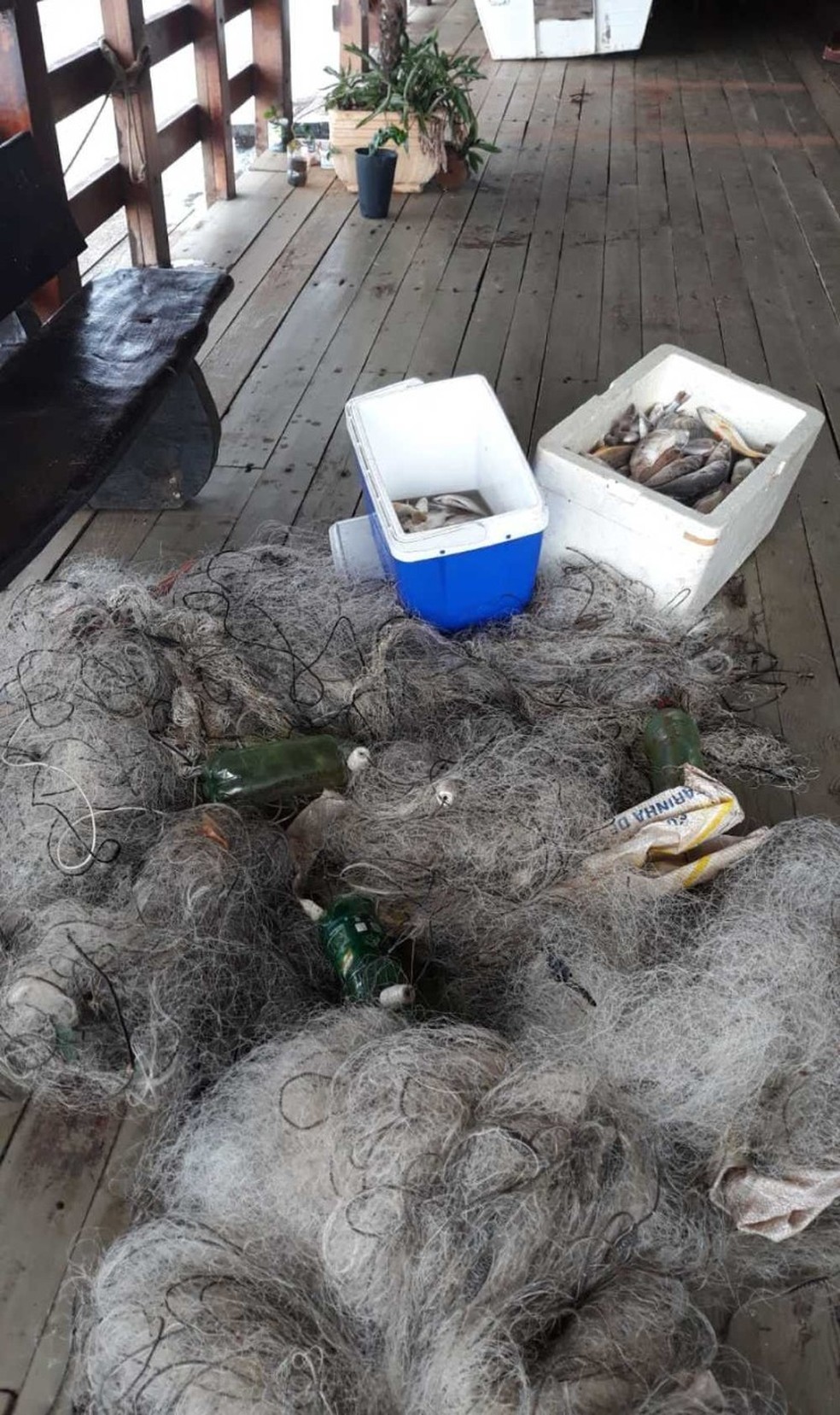 Redes foram apreendidas e pescado doado — Foto: Naturatins/Divulgação