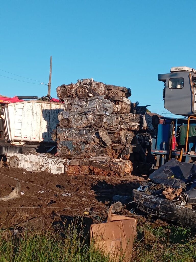 Festa do Peão de Barretos homenageia menina que morreu após cair de cavalo  em SC; VÍDEO, Santa Catarina