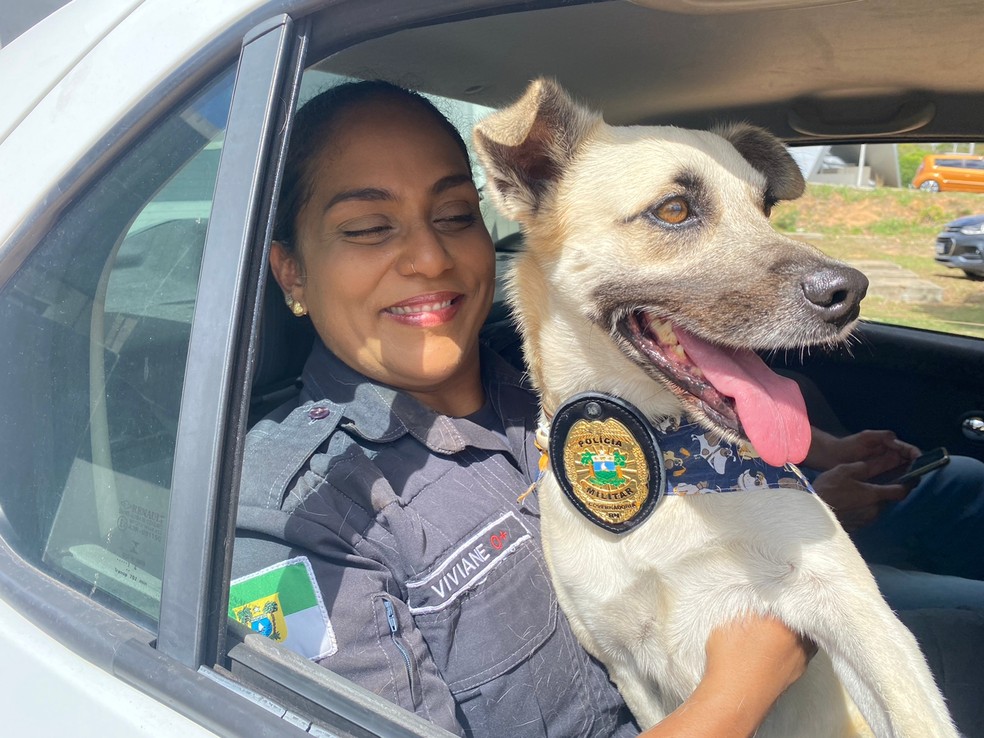 Sargento Viviane é uma das mais apegadas ao cãozinho — Foto: Pedro Henrique Trindade/Inter TV Cabugi