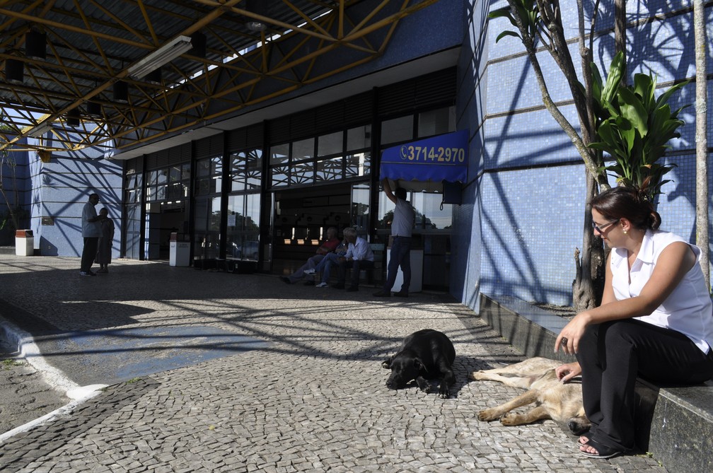 Adoções são acompanhadas pelos taxistas e pelas ONGs — Foto: Camilla Resende/G1