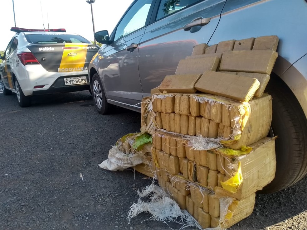Polícia Rodoviária apreende tijolos de maconha durante fiscalização na Raposo Tavares — Foto: Polícia Rodoviária/Divulgação