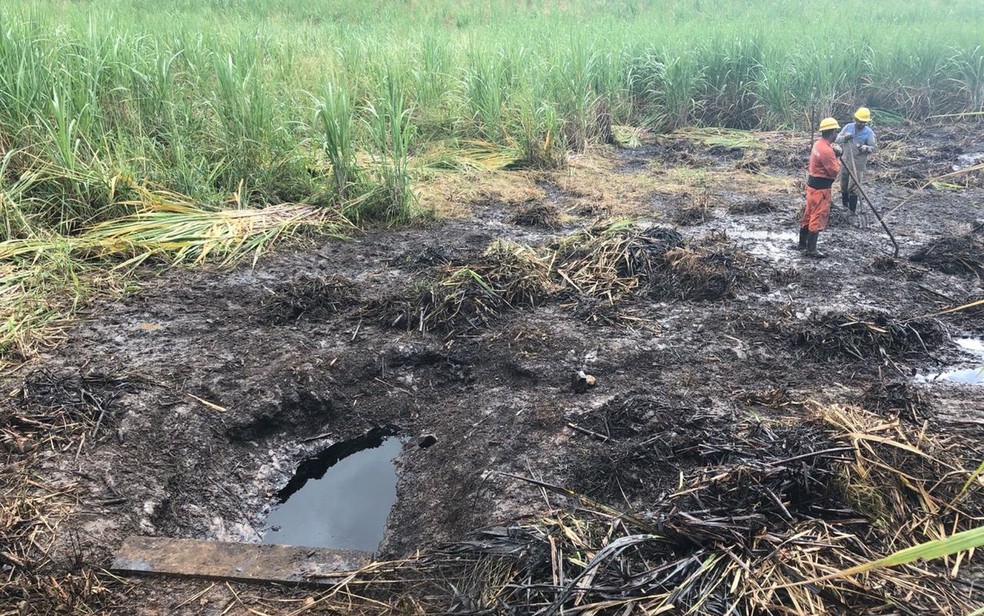 Vazamento de óleo é registrado em Povoado de Riachuelo — Foto: Adema/Divulgação