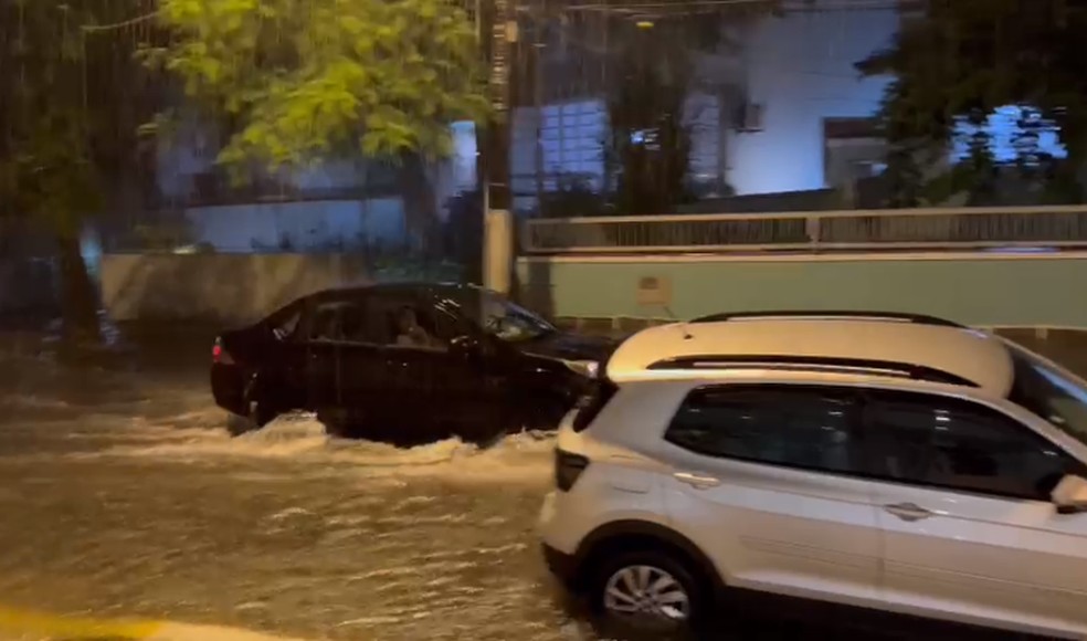 Forte Chuva Causa Deslizamentos De Terra E Deixa Famílias Desalojadas No Guarujá Encontre Tudo 