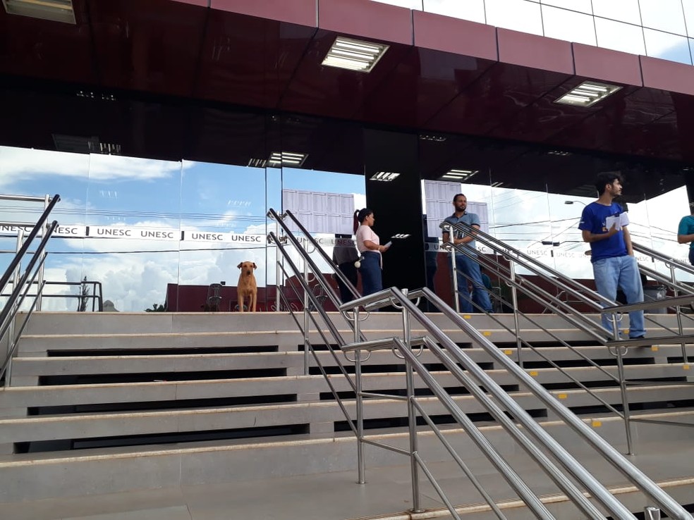 Rex não saiu da porta do local de prova enquanto a dona não voltava.   — Foto: Magda Oliveira/G1