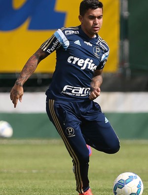 Dudu Palmeiras (Foto: Cesar Greco/Ag Palmeiras/Divulgação)