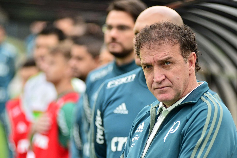 Organizada do Palmeiras pede a saída de Cuca do clube (Foto: Marcos Ribolli)