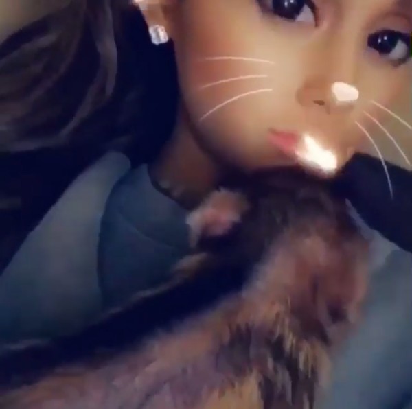 A cantora Ariana Grande com o porquinho que tem a guardada disputada por ela e o ex (Foto: Instagram)
