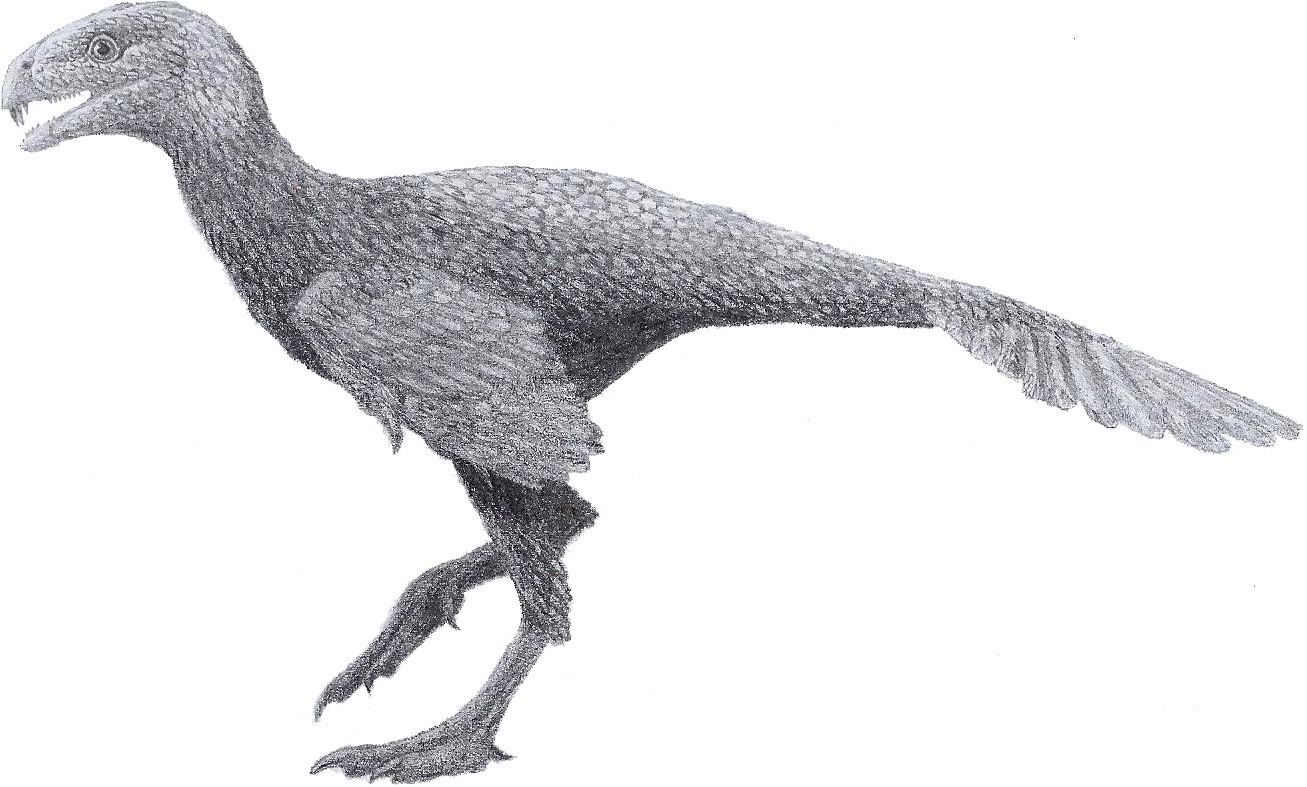 Ilustração do Incisivosaurus gauthieri (Foto: Tom Parker/ Wikimedia Commons/ CreativeCommons)