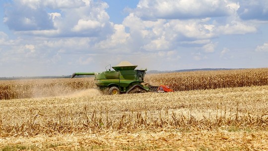 Brasil pode colher recorde de 126,6 milhões de toneladas de milho, aponta pesquisa