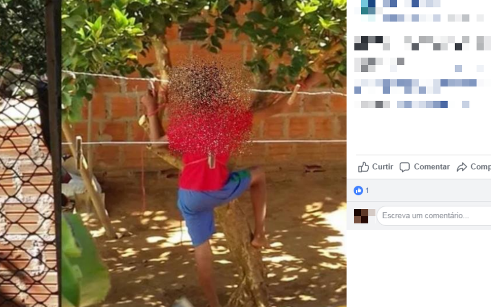 Mulher foi detida apÃ³s amarrar filho de 12 anos em Ã¡rvore na Bahia (Foto: ReproduÃ§Ã£o/ Redes Sociais)