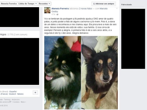 Ateneia comemorou fato de dona se reencontrar com cão após publicação (Foto: Reprodução/ Facebook)