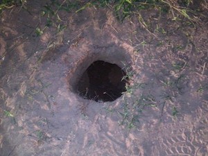 Fuga aconteceu na noite desta quinta-feira (10) em Alcaçuz (Foto: Força Nacional) Fuga aconteceu na noite desta quinta-feira (10) em Alcaçuz (Foto: Força Nacional)