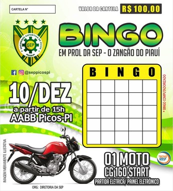 Cartela Picos, bingo  (Foto: Divulgação )