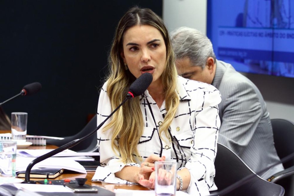 Deputada federal Paula Belmonte (PPS-DF) — Foto: Vinicius Loures/Câmara dos Deputados