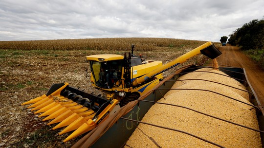 PR colheu 77% da área de soja e 63% da área de milho verão, afirma Deral