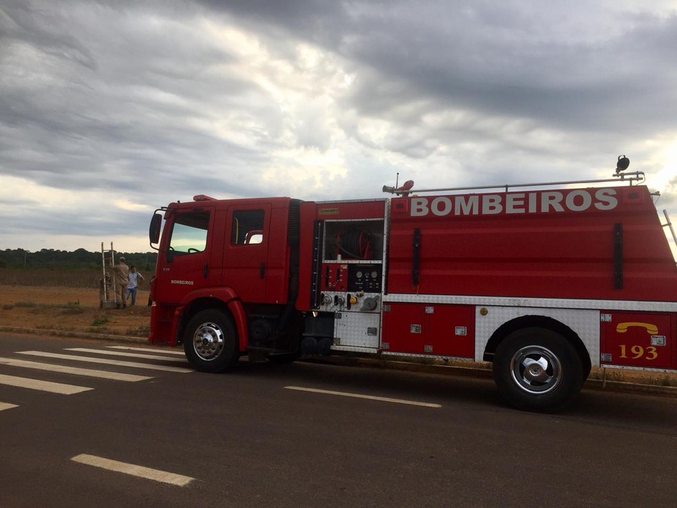 Policiais e bombeiros fazem buscas por enfermeira desaparecida em Sinop — Foto: Mel Parizzi/TV Centro América