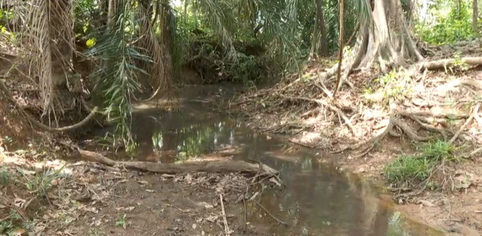 Segundo os pesquisadores, os sedimentos criam bancos de areia no leito do rio  Foto: TV Centro Amrica