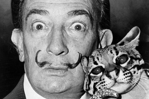O pintor catalão Salvador Dalí sempre teve tanta consciência do poder de seu exótico bigode que o transformou em verdadeiro ícone da cultura