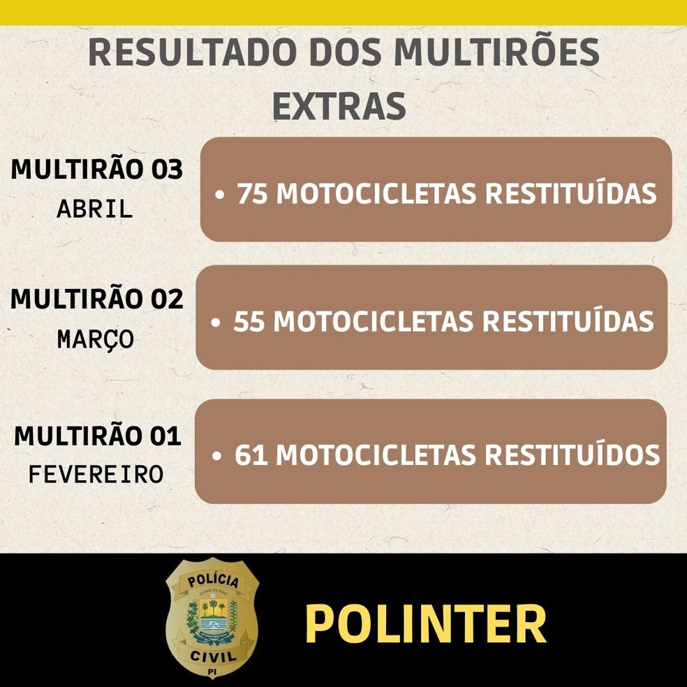 Números dos multirões — Foto: Divulgação /PC-PI