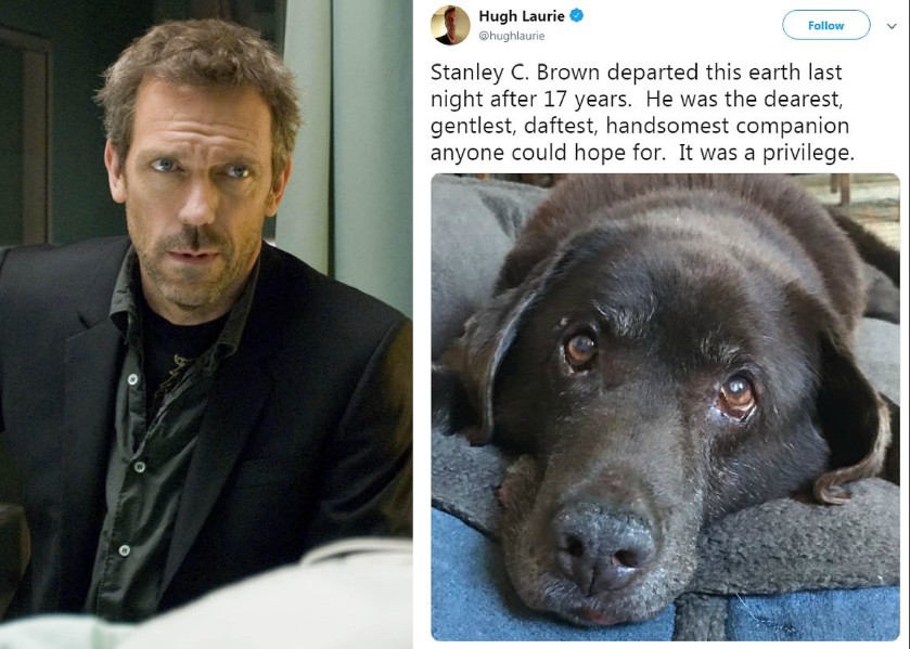 O ator Hugh Laurie e o post feito por ele lamentando a morte do cachorro de 17 anos (Foto: Reprodução/Twitter)