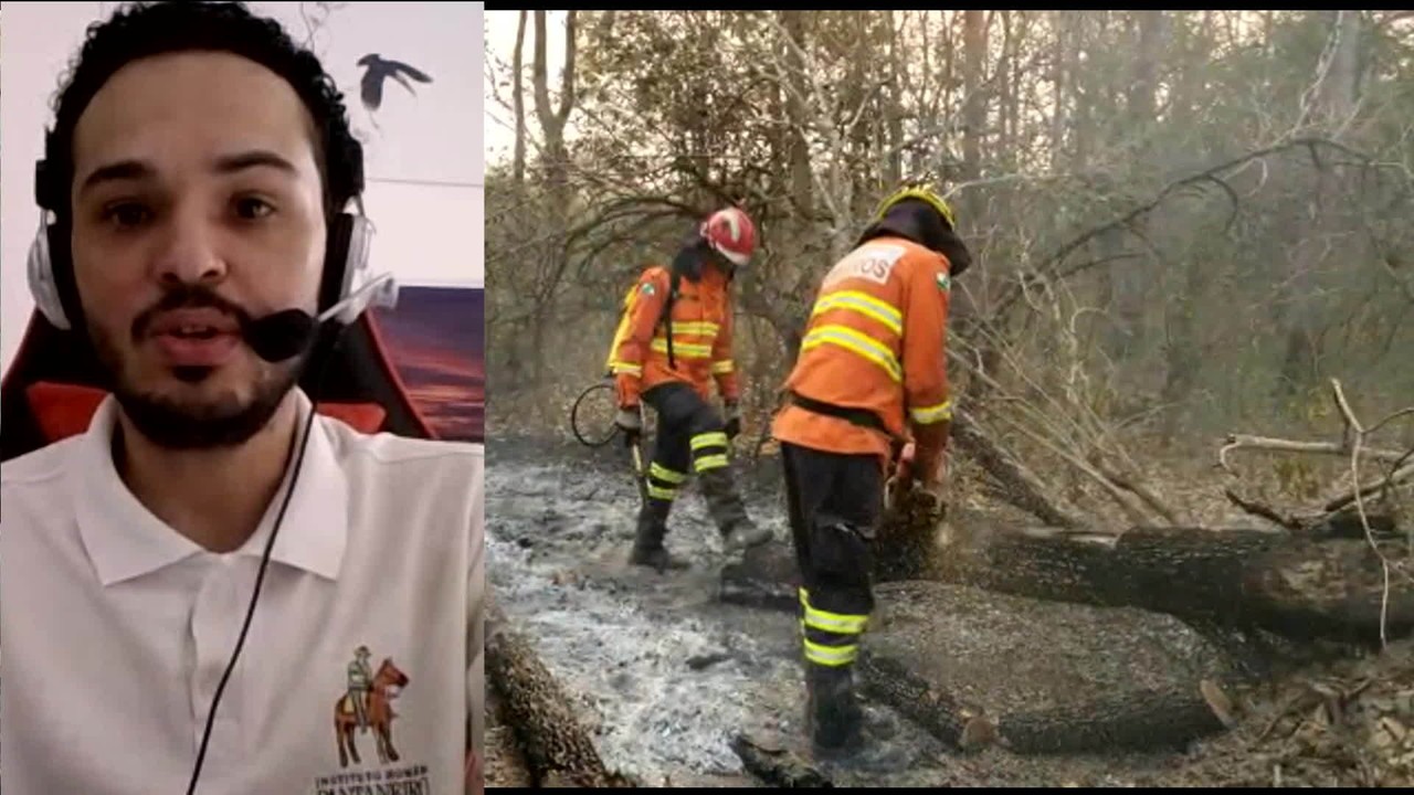 'Estamos perdendo vidas e também recursos', defende pesquisador sobre queimadas