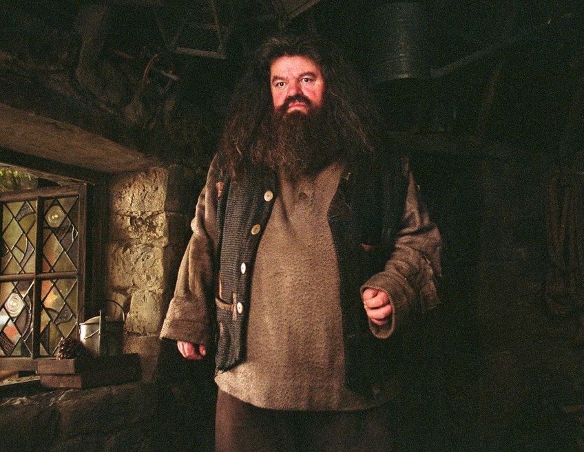 O personagem Hagrid da franquia Harry Potter (Foto: Reprodução)