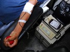 Hemopa não funcionará para coleta de sangue neste feriado, em Belém