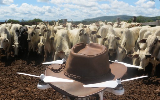 Vídeo: pecuarista usa drone para tocar a boiada - Revista Globo Rural