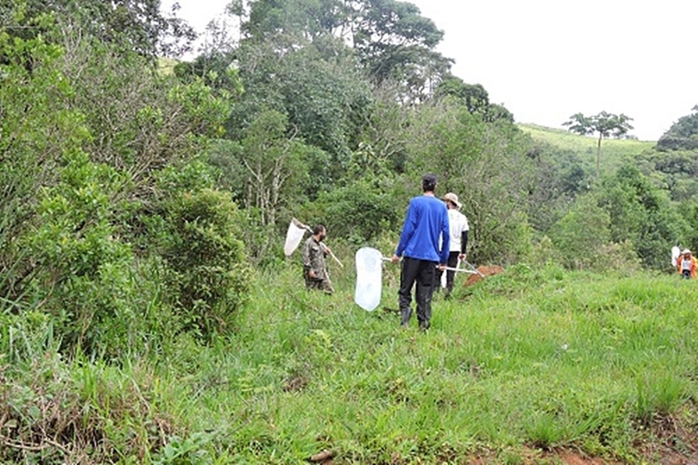 Pesquisados do IF Sul de Minas fazem expedições ao longo da APA do Rio Machado — Foto: Instituto Federal do Sul de Minas