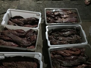 Mais de 2 toneladas de carne estavam mal-acondicionados (Foto: Ministério Público/Divulgação)