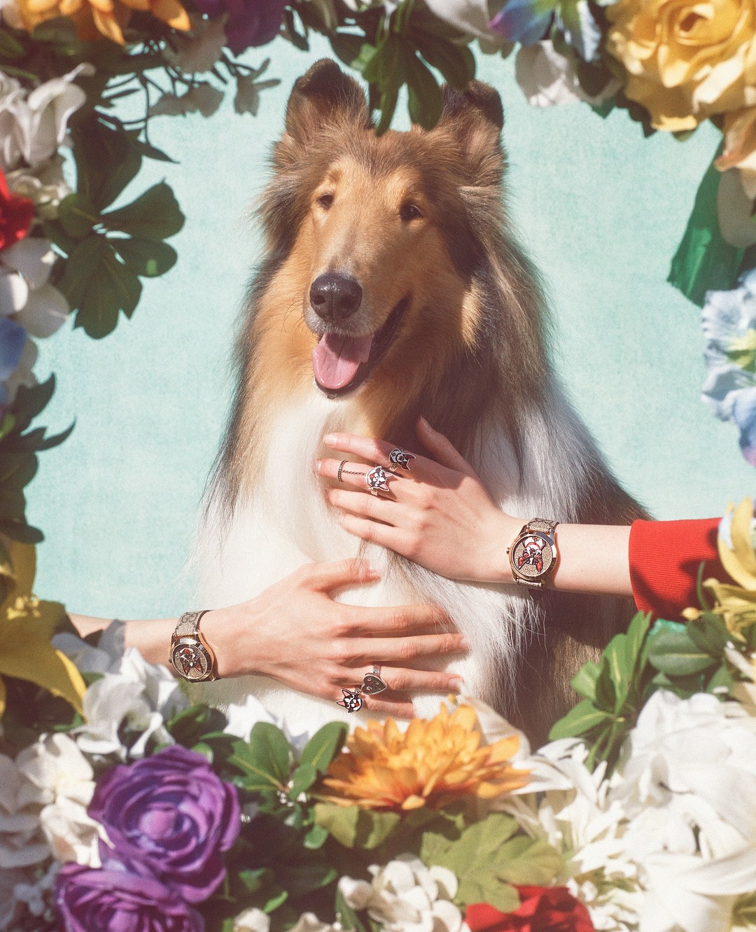 Ano Novo Chinês: Gucci lança coleção inspirada no ano do cachorro (Foto: Divulgação)