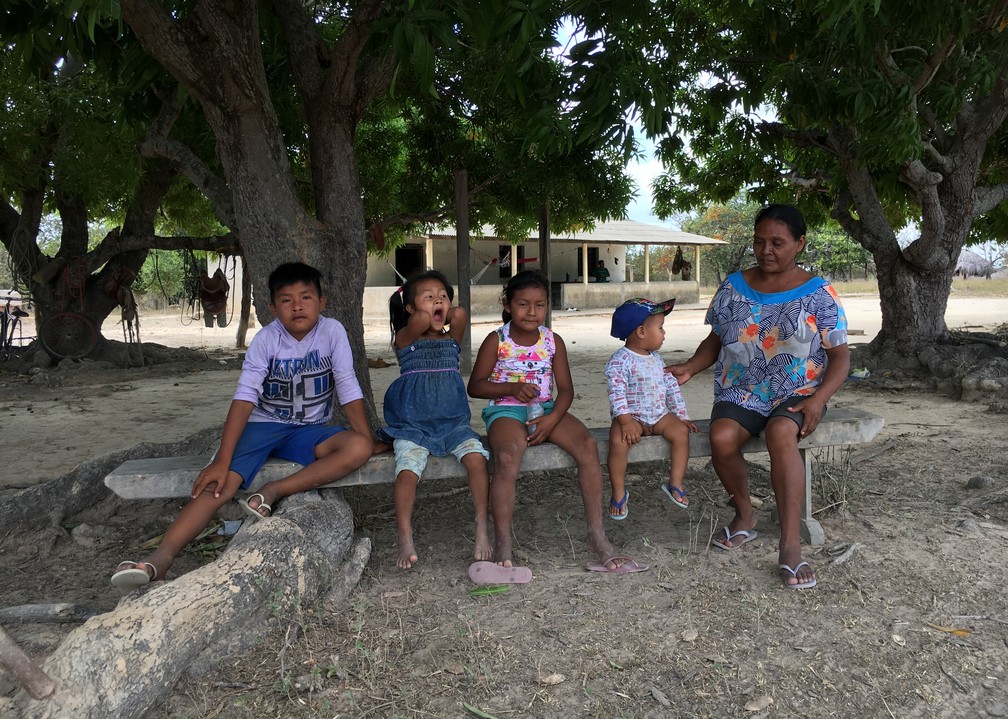 Família de indígenas ocupa a fazenda 'Vai ou Racha' onde cria gado comunitário — Foto: Emily Costa/G1 RR