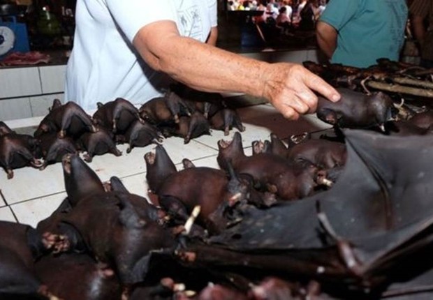 BBC: Morcegos são vendidos em mercado indonésio (Foto: GETTY IMAGES VIA BBC )