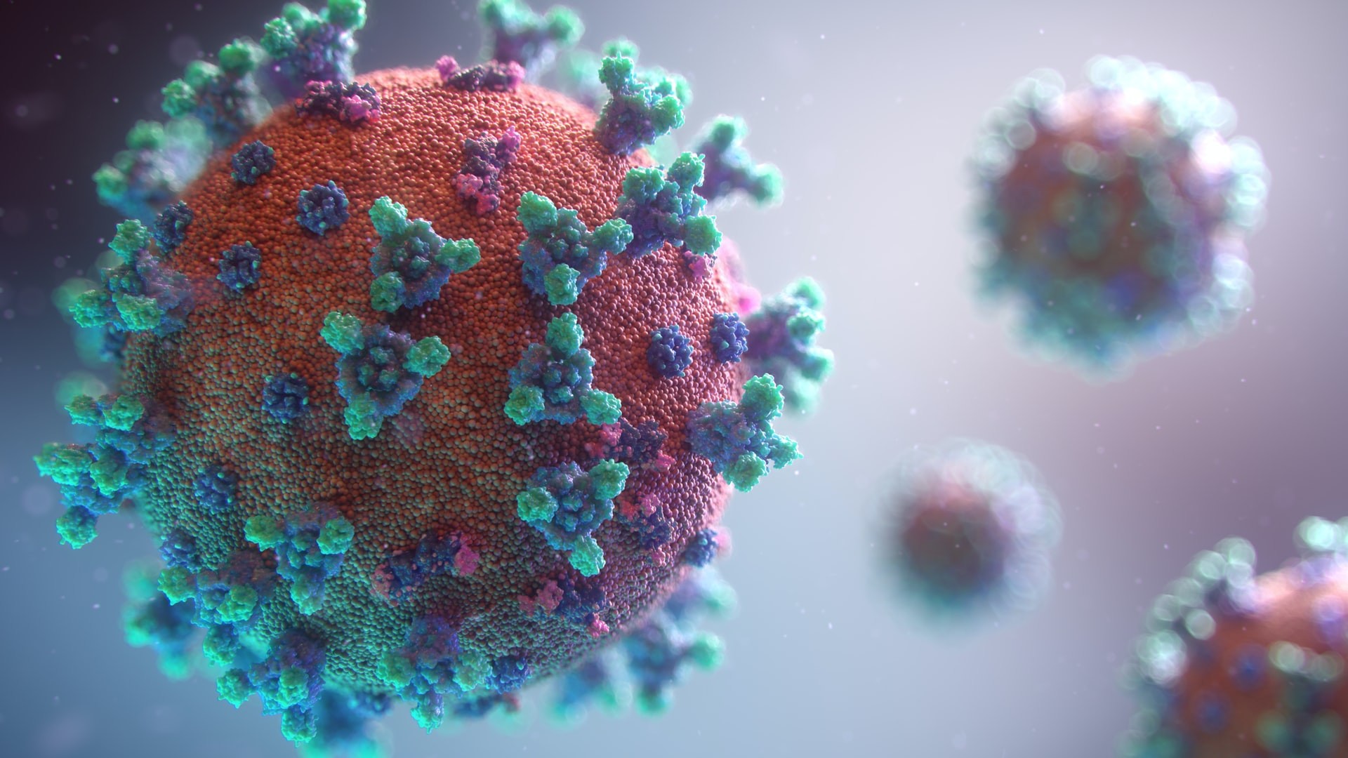  Sistema cria ranking de novas espécies de vírus com potencial de provocar pandemias (Foto: Fusion Medical Animation/Unsplash)