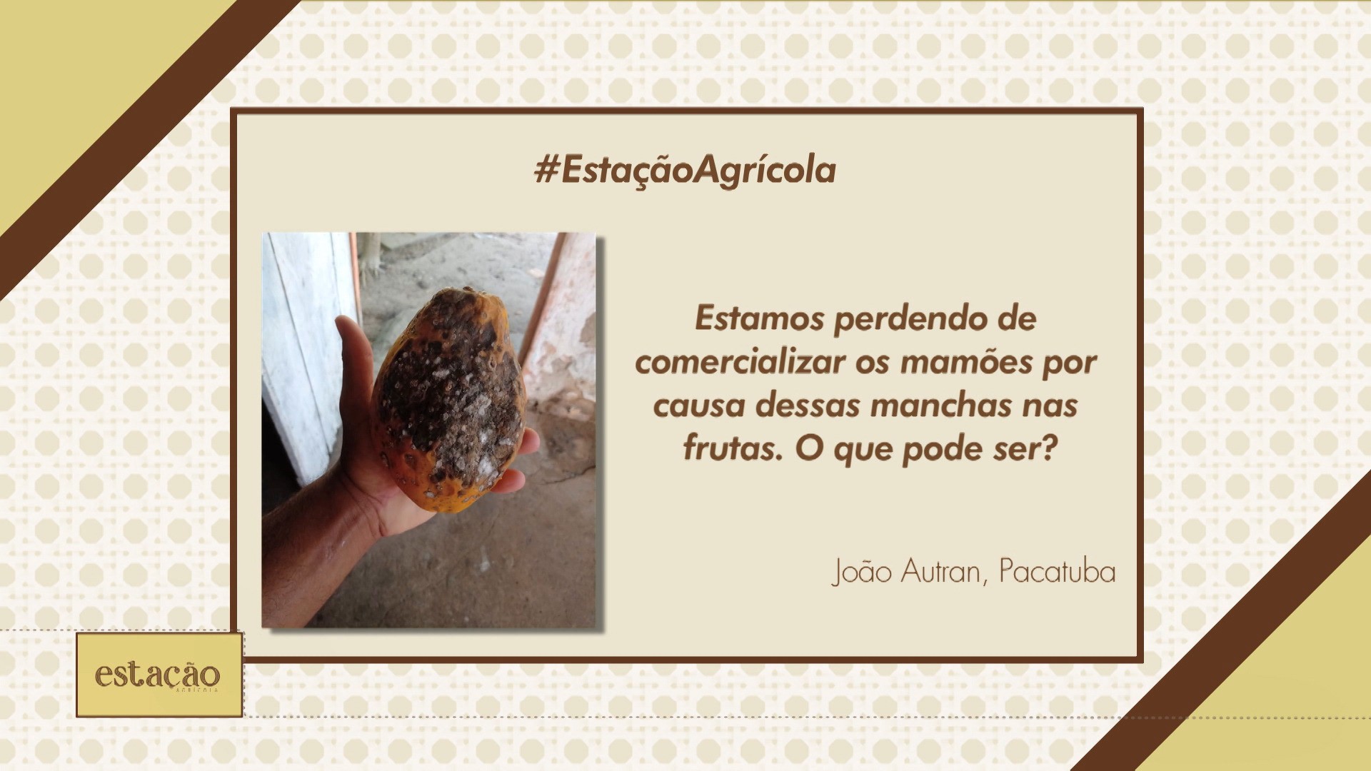 VÍDEOS: Estação Agrícola deste domingo, 13 de fevereiro