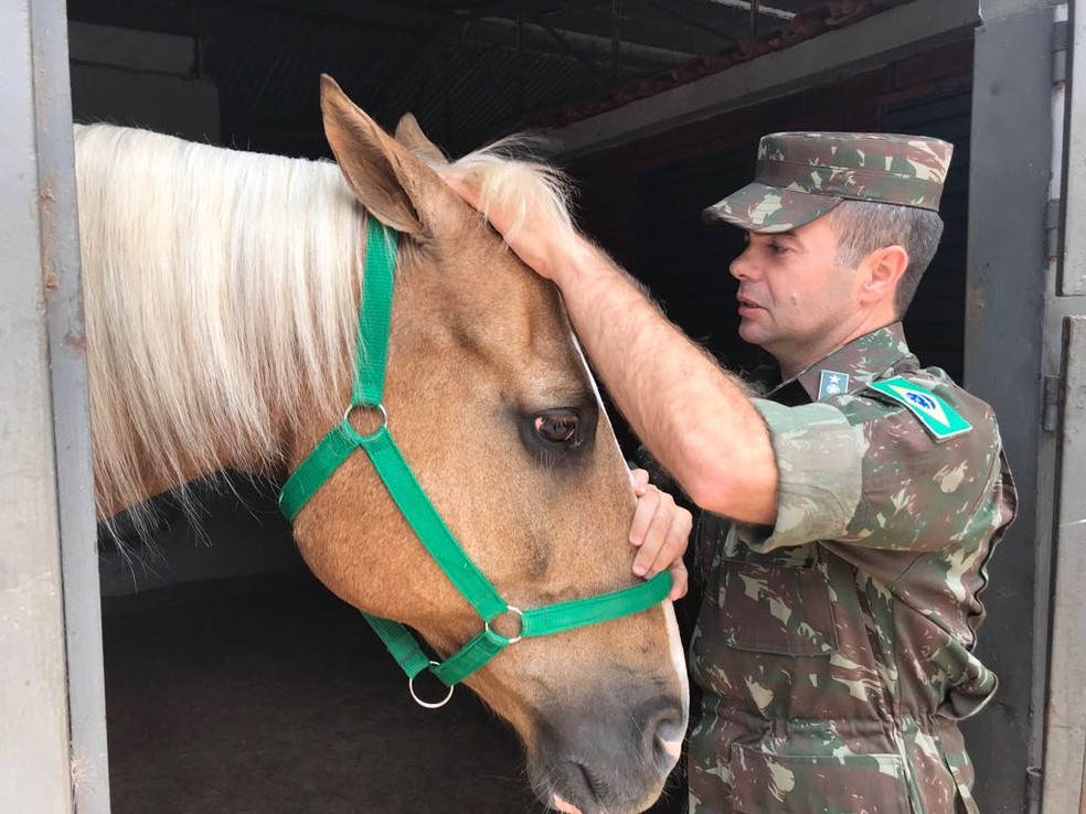 Comandante do 1º Regimento de Cavalaria de Guarda cuida do cavalo Baio; animal tem 14 anos — Foto: Marília Marques/G1