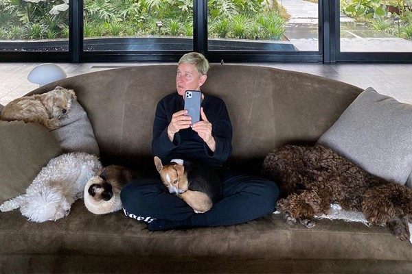 Ellen DeGeneres ao lado de alguns de seus pets (Foto: Instagram)