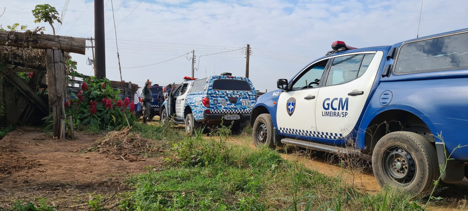 Quadrilha rouba caminhonete e gado após render e amarrar casal em área rural de Limeira