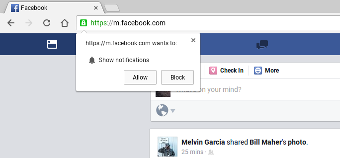 Saiba como desativar notificações do Facebook e outros sites no Chrome (Foto: Reprodução/Facebook Help)