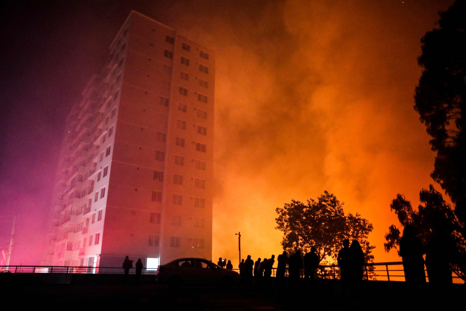 Incêndio florestal atinge as colinas de Vina del Mar, onde centenas de casas estão localizadas, na região de Valparaíso, Chile — Foto:  JAVIER TORRES/AFP